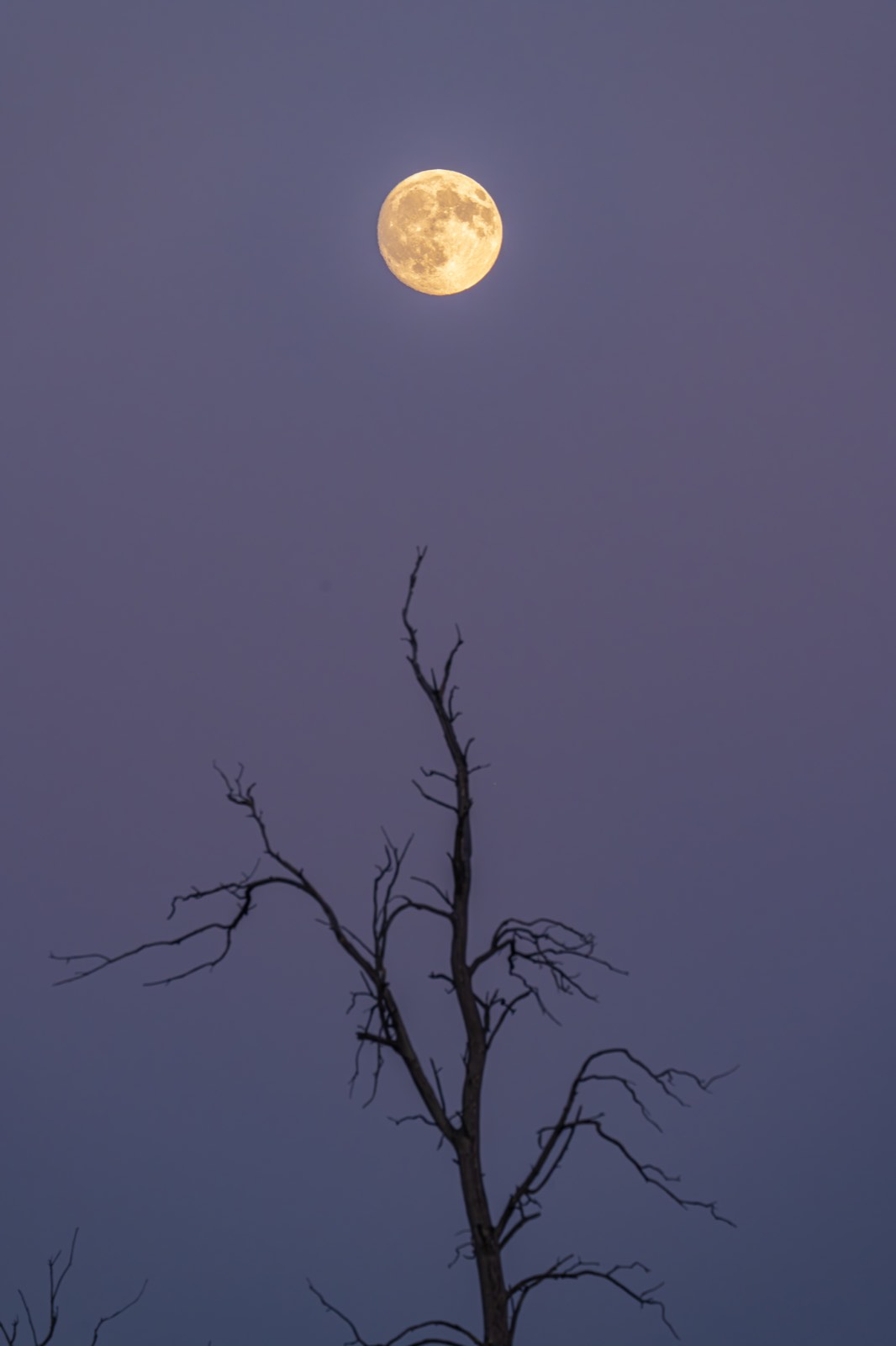 加拿大 第 9 张照片