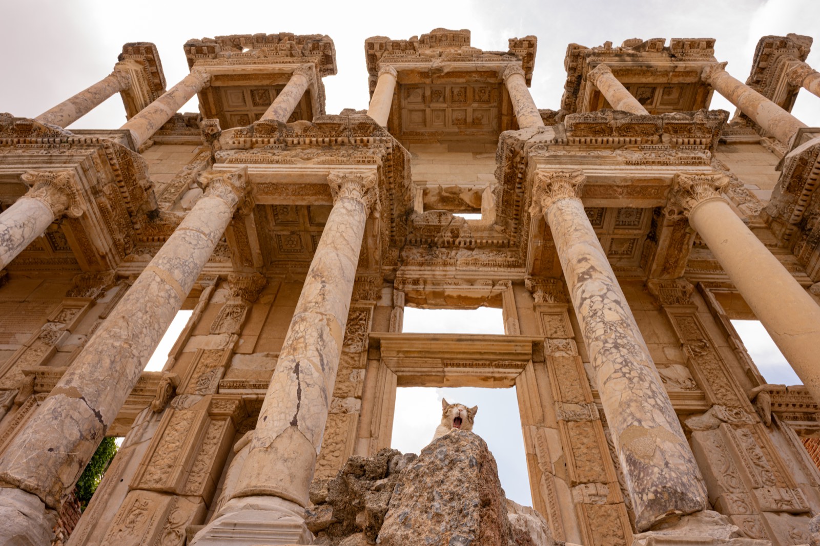 土耳其 第 6 张照片