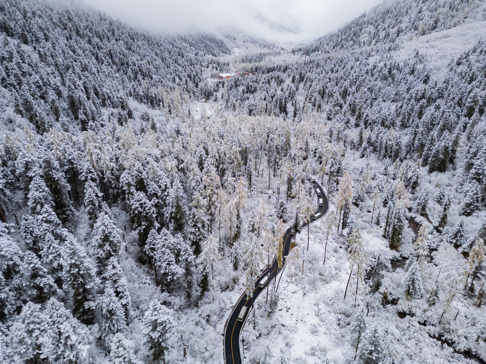 川西 第 2 张照片