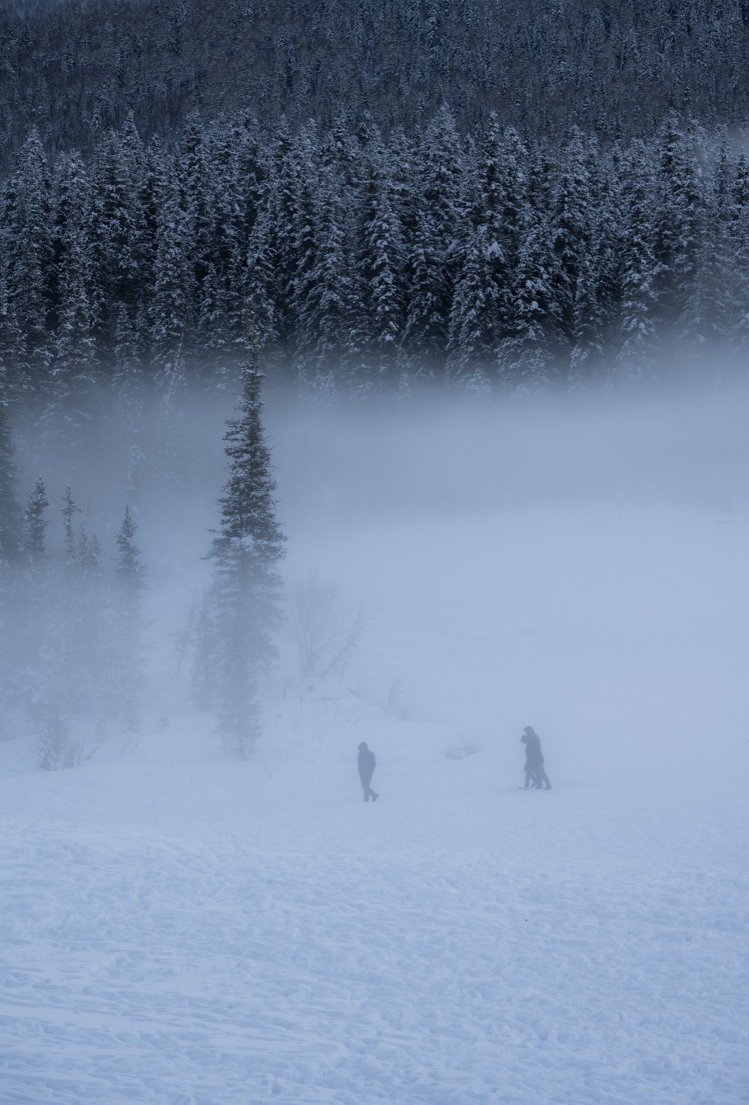 新疆阿勒泰 第 2 张照片